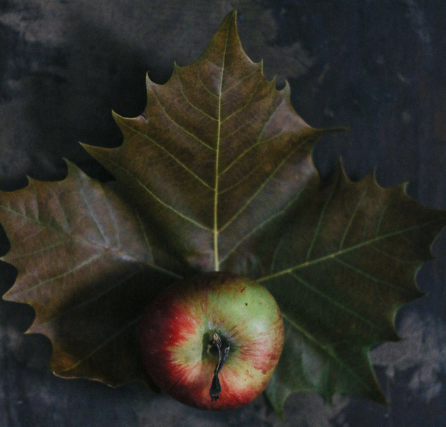 Maple Apple Cider